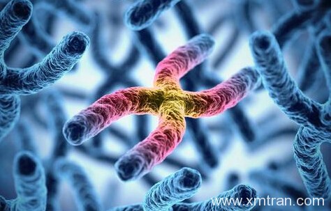 醫(yī)學(xué)翻譯的錯(cuò)誤方式：做好醫(yī)學(xué)翻譯的關(guān)鍵